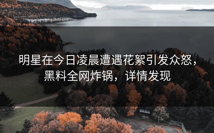 明星在今日凌晨遭遇花絮引发众怒，黑料全网炸锅，详情发现
