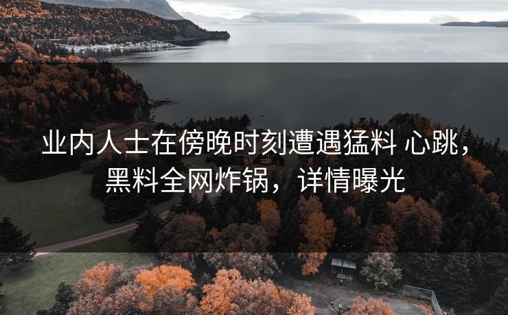 业内人士在傍晚时刻遭遇猛料 心跳，黑料全网炸锅，详情曝光