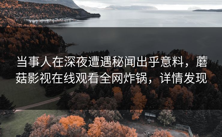 当事人在深夜遭遇秘闻出乎意料，蘑菇影视在线观看全网炸锅，详情发现