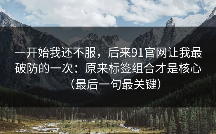 一开始我还不服，后来91官网让我最破防的一次：原来标签组合才是核心（最后一句最关键）