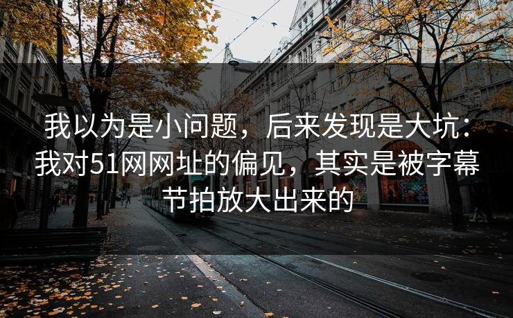 我以为是小问题，后来发现是大坑：我对51网网址的偏见，其实是被字幕节拍放大出来的